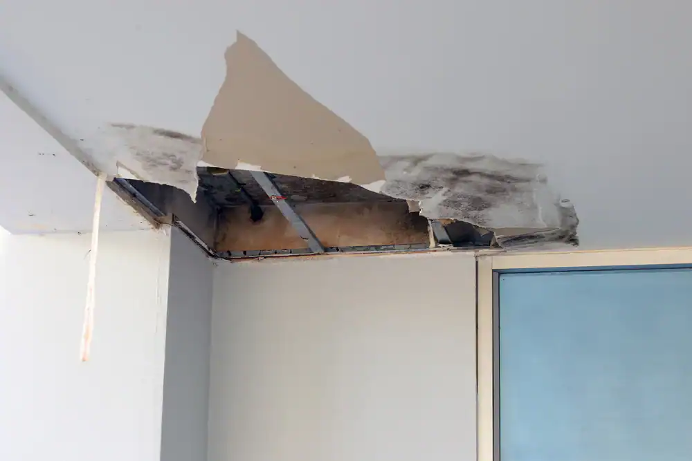 A large section of ceiling has collapsed, exposing pipes and wiring above. Broken plaster and water damage are visible, likely requiring a roofer in Jasper County, TX or a roofing contractor from Southwest Louisiana for repairs.