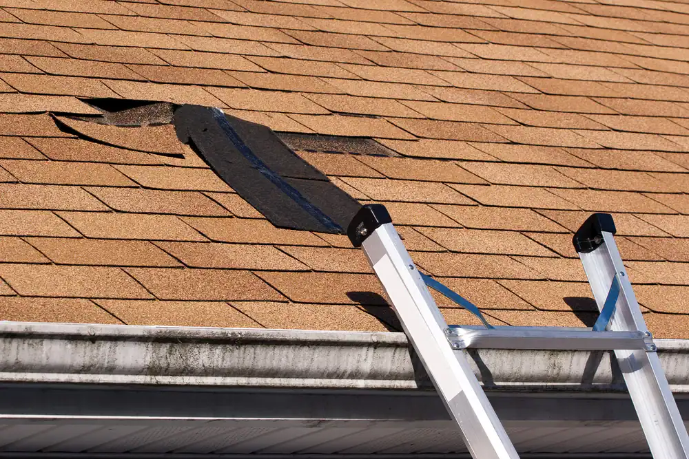 A ladder rests against a roof with brown shingles, showing a large, damaged section where several shingles are missing and the underlayment is exposed—a scene any roofer Jasper County or roofing contractor Southwest Louisiana might encounter. The gutter appears weathered.
